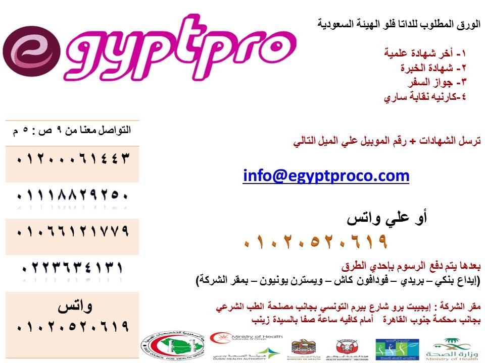 https://www.egyptproco.com/public/uploads/videos/45c48cce2e2d7fbdea1afc51c7c6ad26.jpg?=v1562422692